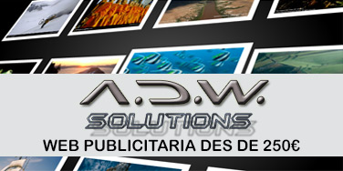 Disseny i desenvolupament web