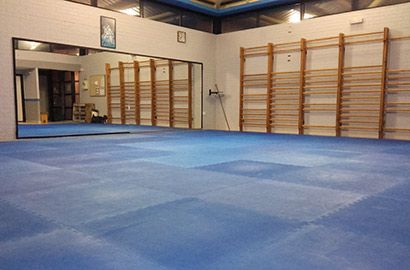 karate club shinden  Piles